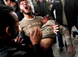اضغط على الصورة لرؤيتها بالحجم الطبيعي