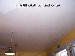 اضغط على الصورة لرؤيتها بالحجم الطبيعي