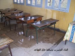 اضغط على الصورة لرؤيتها بالحجم الطبيعي