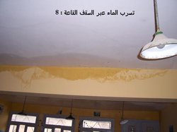 اضغط على الصورة لرؤيتها بالحجم الطبيعي