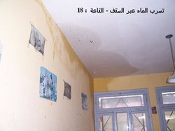 اضغط على الصورة لرؤيتها بالحجم الطبيعي