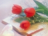 valentin5
